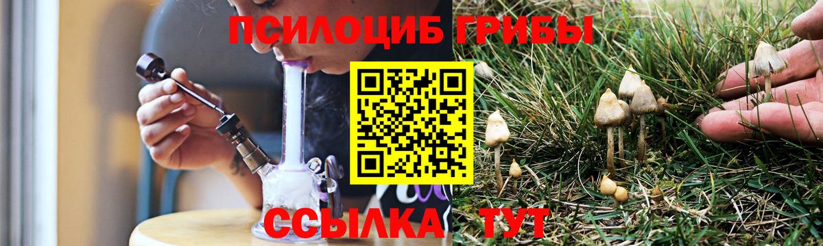 Псилоцибиновые грибы прущие грибы Медногорск